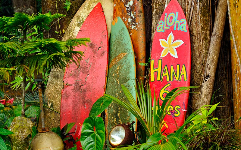 "Road to Hana" er en berømt vej, man kan køre og se en masse smuk natur på vejen ferie på hawaii road to hana