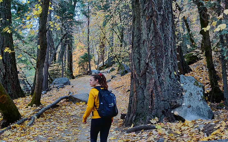 bjørn yosemite natalie
