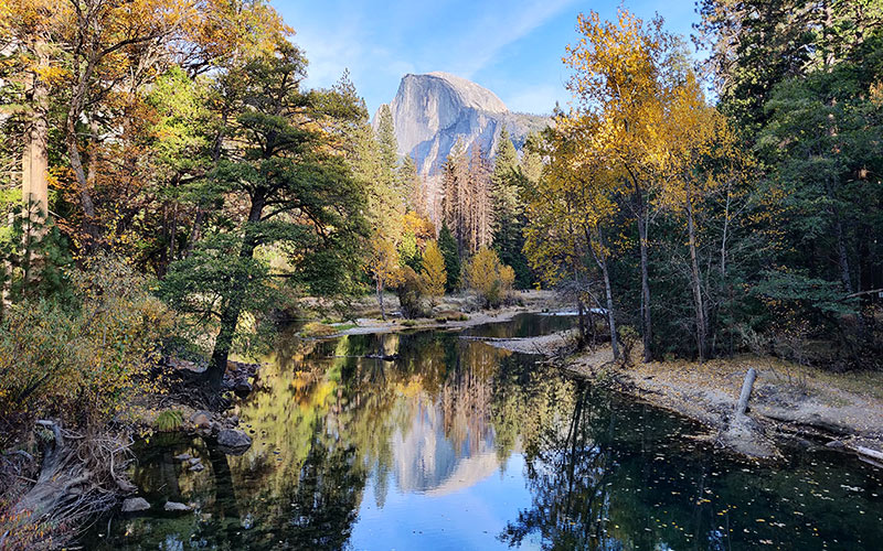 bjørn yosemite spejl