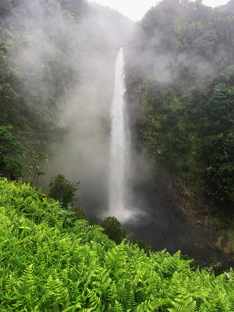 Akaka Falls er et populært udflugtsmål - med rette oplevelser på hawaii akaka falls