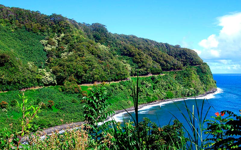 Kør selv på Vestkysten i USA Hawaii Road to Hana