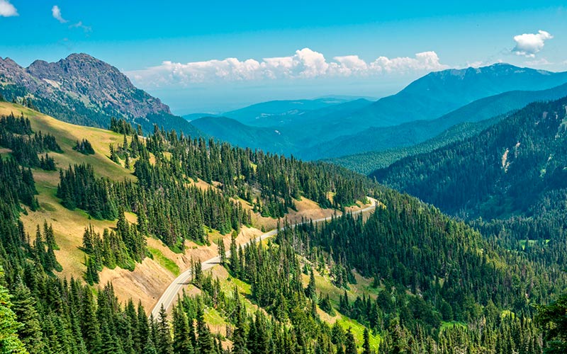 Kør selv på Vestkysten i USA Highway 101 Olympic Peninsula