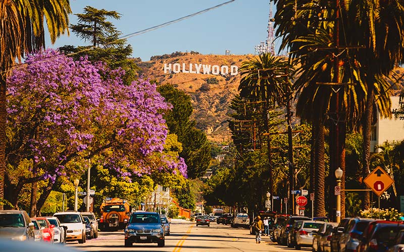 Kør selv på Vestkysten i USA californien