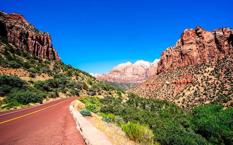 Kør selv på Vestkysten i USA Zion National Park