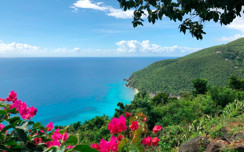 krydstogt i caribien st thomas