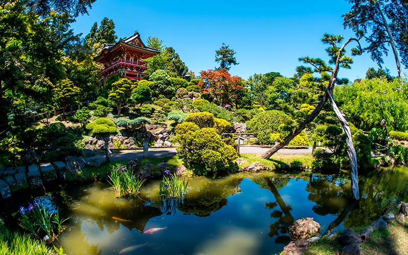 seværdigheder i san francisco golden gate park