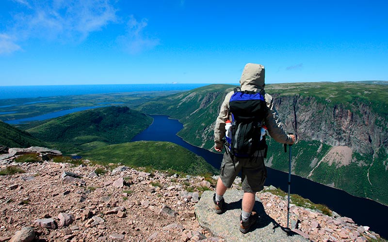 På toppen af Newfoundlands grønne klipper aktiv ferie i canada Vandring i Gros Morne