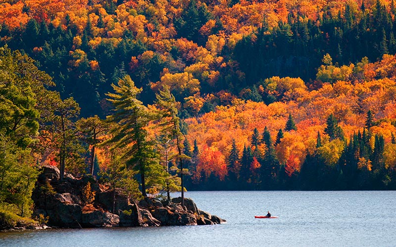Efterårsfarverne i Algonquin National Park i det østlige Canada er fortryllende aktiv ferie i canada kajak Algonquin National Park