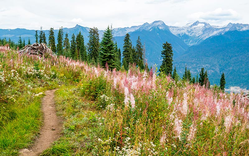 For en rigtig cykelferie i de canadiske "Rockies" er Kootenay Rockies topmålet aktiv ferie i canada cykling Kootenay Rockies