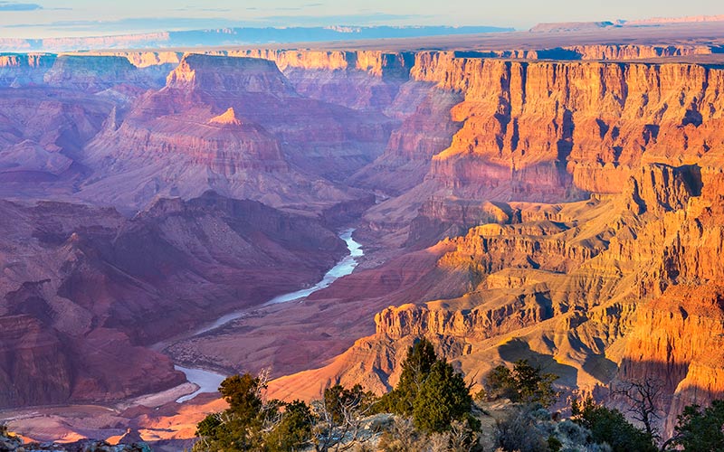 natur på vestkysten i usa grand canyon